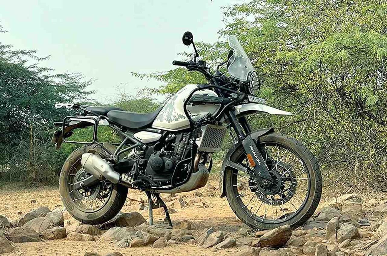 Himalayan